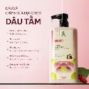 dxdtt.webp
