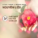 625_ID0101_5.webp